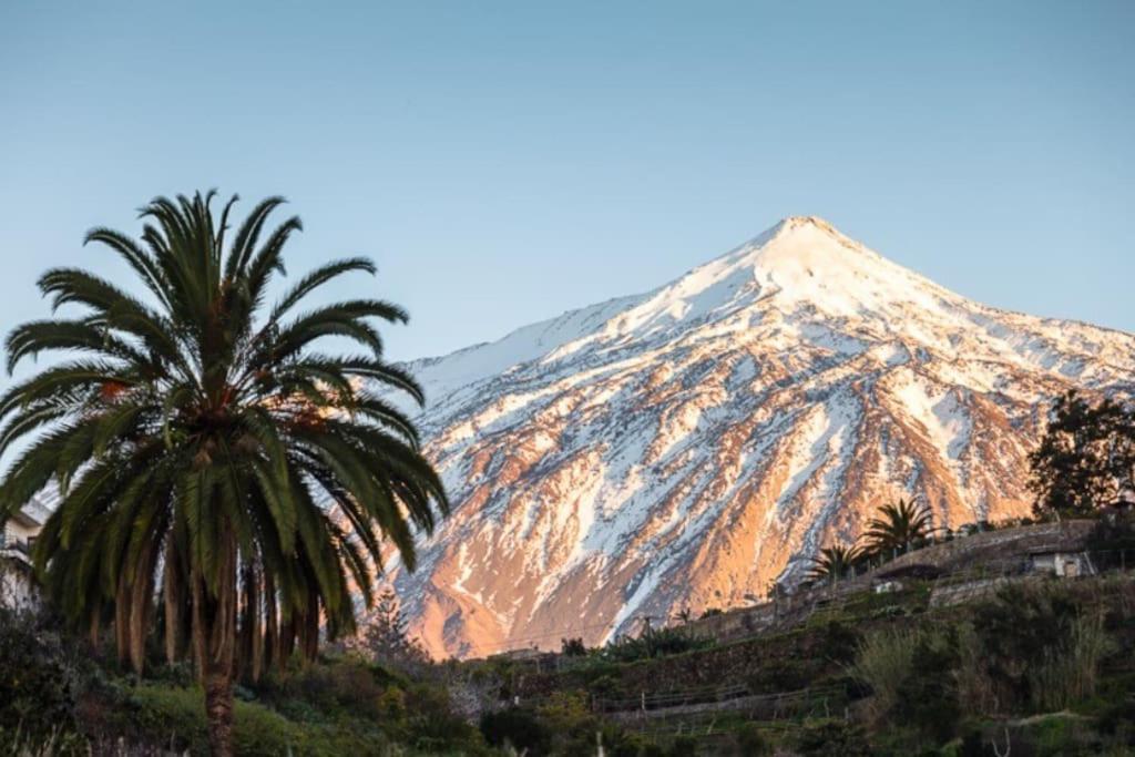 Vacanze Da Sogno San Miguel de Abona Buitenkant foto